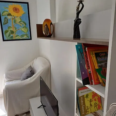 Sunflower 法马古斯塔