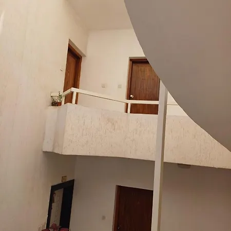 Sunflower * 파마구스타