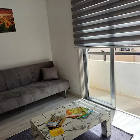 Sunflower 파마구스타