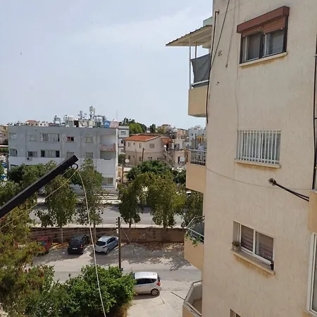 Sunflower 파마구스타