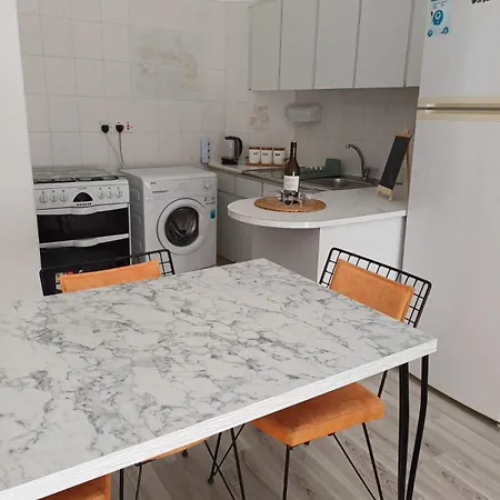 Sunflower * 파마구스타