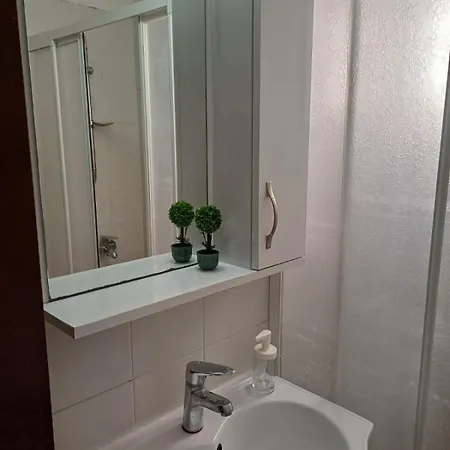 Sunflower 法马古斯塔