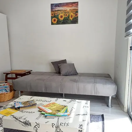 Sunflower Apartment