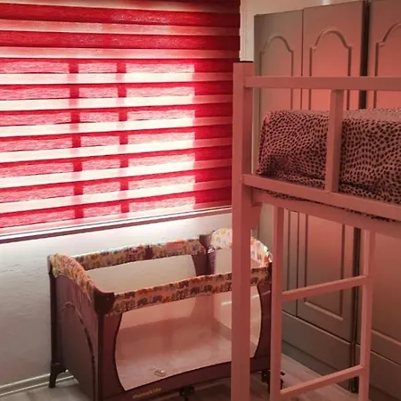 Sunflower * 法马古斯塔