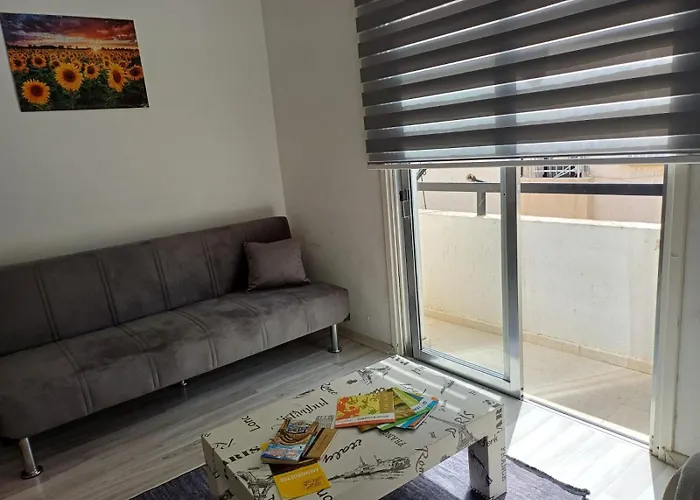 Sunflower Αμμόχωστος