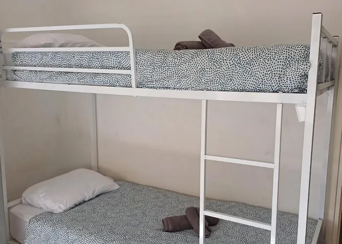 Sunflower * Famagusta (Northern Cyprus)